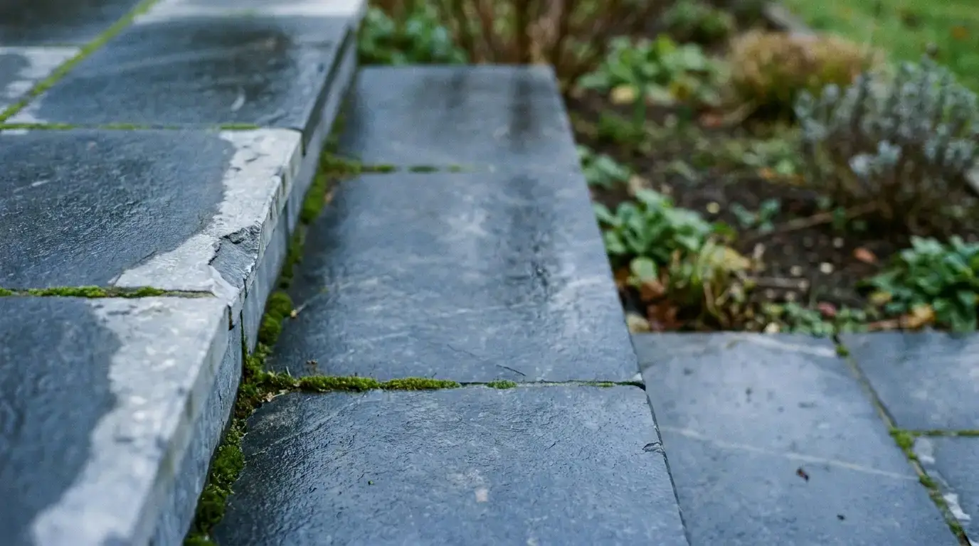 Wet stone steps with moss growing between cracks, surrounded by garden plants and soil